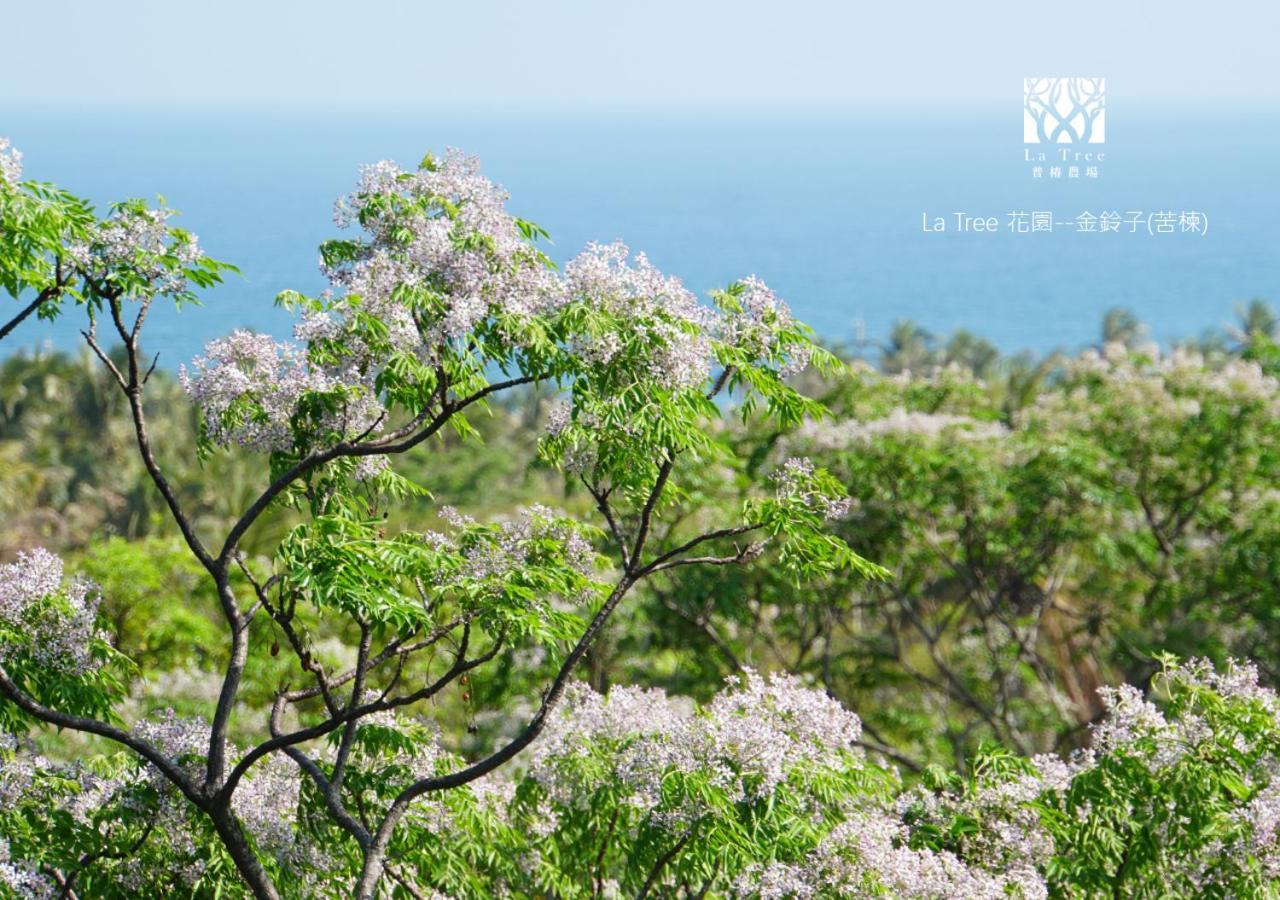 La Tree 普椿農場木子莊園 Leilighet Donghe Eksteriør bilde